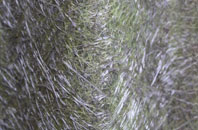 Wiggonby fibreglass roof work